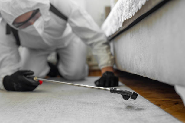 Professional Bed Bug Control technician working in Chandler, OK