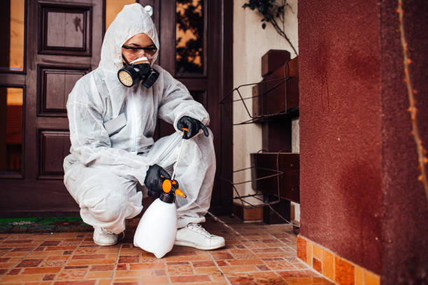 Reliable Bed Bug Control contractor in Chandler, OK by Nex Pest Control