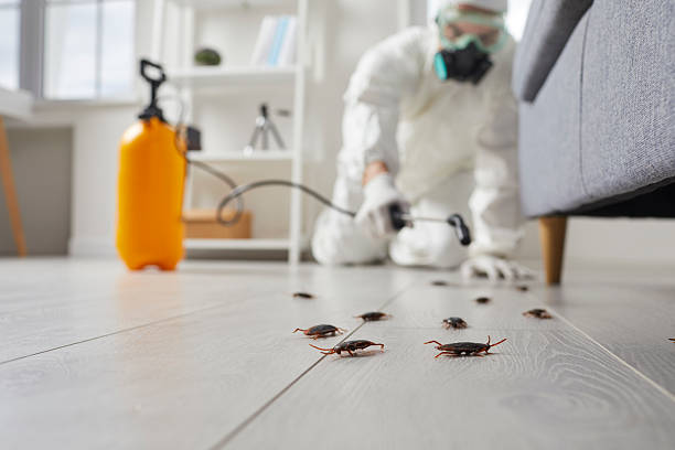 Trusted Cockroach Control service in Chandler, OK - Nex Pest Control
